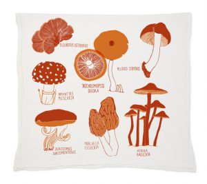 mushroom1-735x655